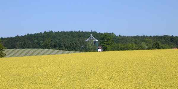Wintelandschaft